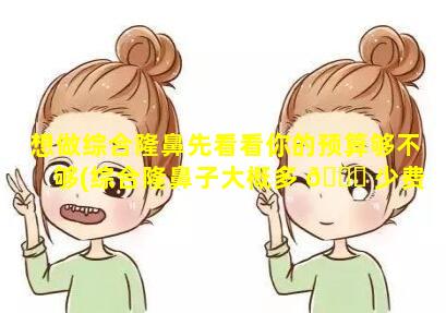 想做综合隆鼻先看看你的预算够不够(综合隆鼻子大概多 🍁 少费用)